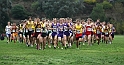 2010NCSXC BD3-010
